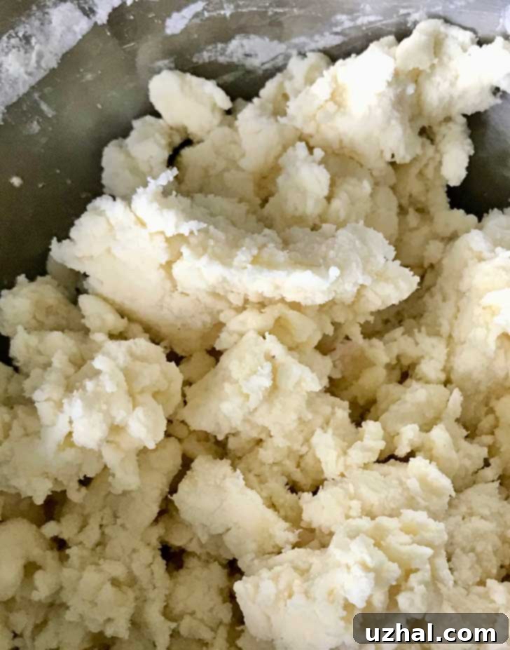 A bowl of gluten-free pastry dough, light in color and ready for chilling, showcasing the smooth texture achieved with Cup4Cup flour.