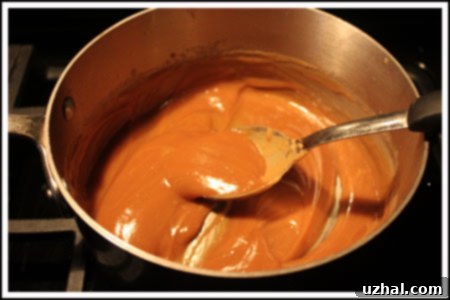 Peanut Butter Caramel Swirl Mixture for Brownies
