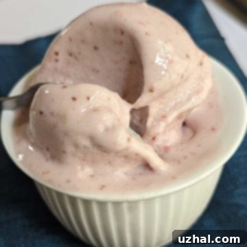 roasted-strawberry-coconut-milk-ice-cream