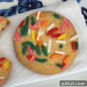 Secret Ingredient Sugar Cookies Recipe