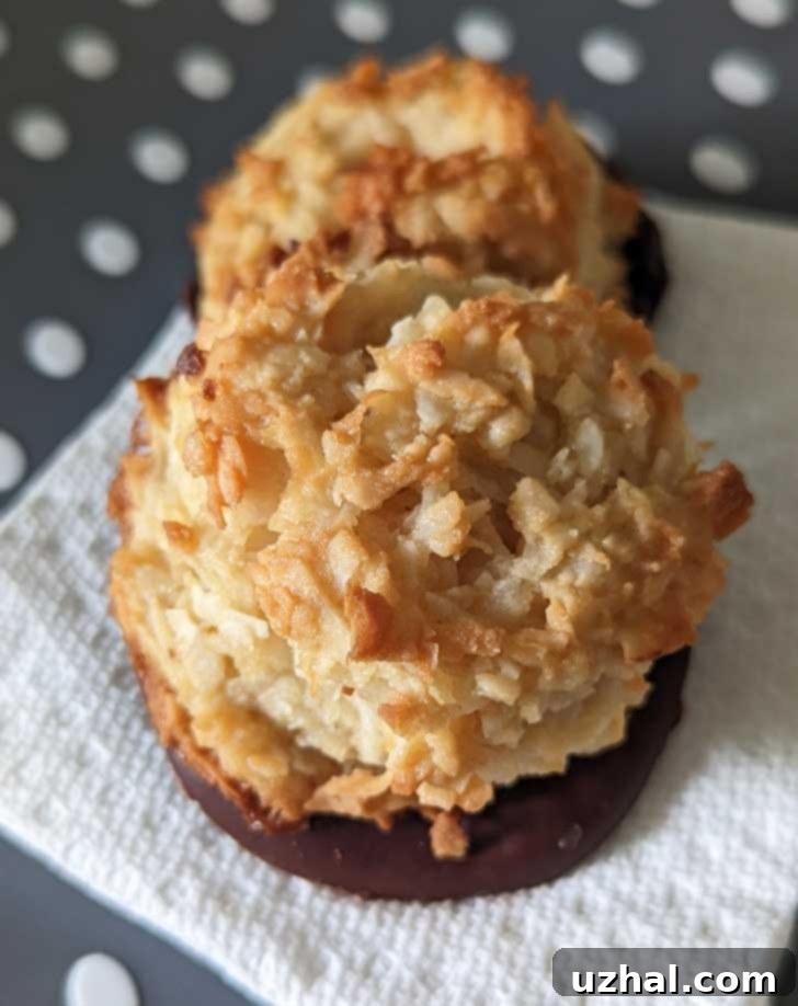Two Gluten-Free Vegan Macaroons sitting on a napkin, showcasing their perfectly browned exterior and chocolate-dipped base.