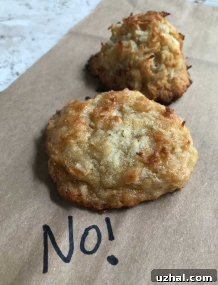 Vegan Macaroons made with 1:1 gluten-free blend rather than brown rice flour, showing a noticeably flatter shape.