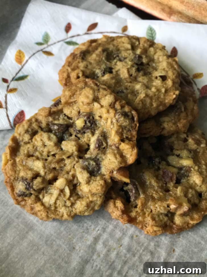 Gluten-Free Thin Oat Flour Oatmeal Chocolate Chip Cookies