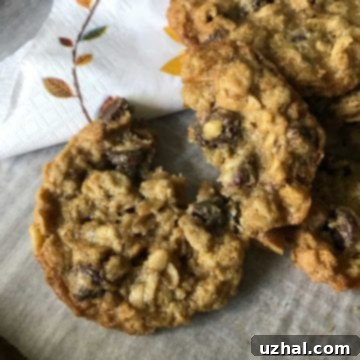 Gluten-Free Thin Oatmeal Chocolate Chip Cookies