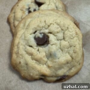 The Half Box Pudding Mix Cookie Secret 3 Half Box Pudding Mix Chocolate Chip Cookies
