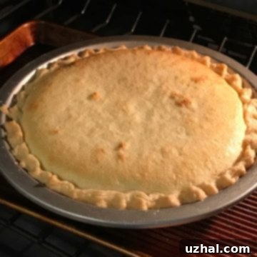 Lemon Cake Pie