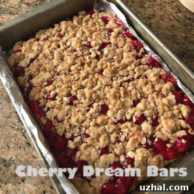 Cherry Dream Bars, sliced and ready to serve, showcasing the rich red cherry filling and crumbly topping.