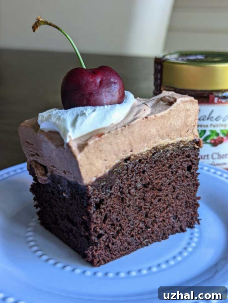 Decadent 8-inch Chocolate Cherry Cake with whipped cream and cherries, inspired by The New York Times
