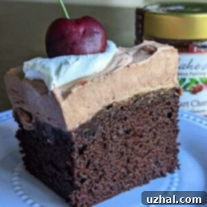 8-inch square chocolate cherry cake with chocolate whipped cream