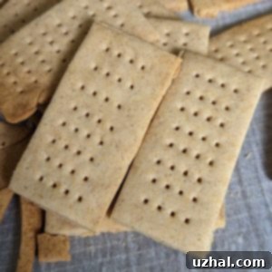 Gluten-Free Graham Crackers