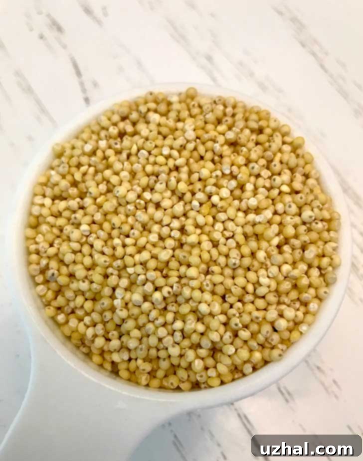Millet flour in a measuring cup, ready for baking.