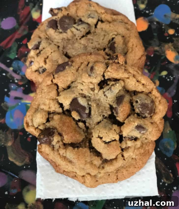 Two Millet Peanut Butter Chocolate Chip Cookies cooling on a rack, showing texture variations.