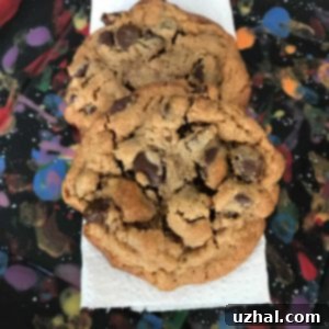 Delicious Millet Flour Peanut Butter Chocolate Chip Cookies
