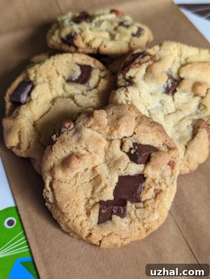 Pepperidge Farm Chesapeake Copycats Cookies