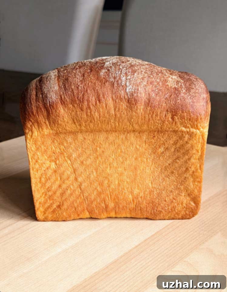 Tall loaf of Sweet Potato Yeast Bread baked in a Pullman loaf pan, showcasing a golden crust and even rise.