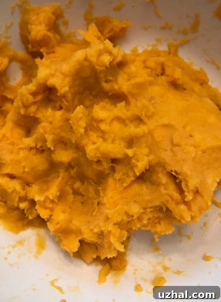 Close-up of mashed roasted sweet potato, showing its slightly drier and more fibrous texture.