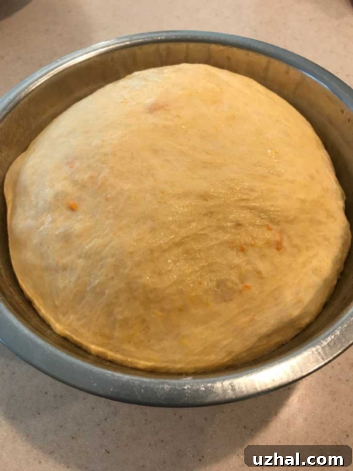 A close-up view of fluffy sweet potato dough, perfectly risen and expanded in a bowl, ready for shaping.