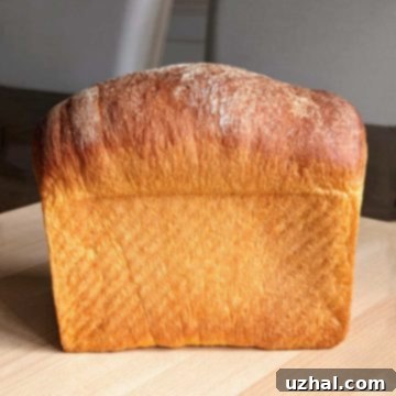 Sweet Potato Yeast Bread