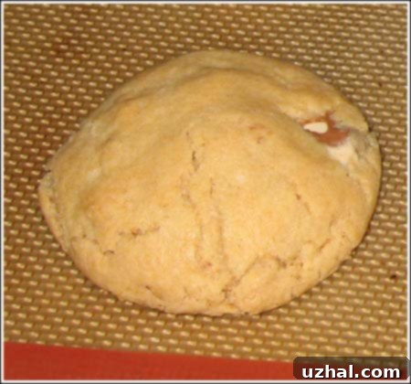 cookieforbloguniced.jpg