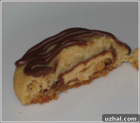 Snicker Cookies
