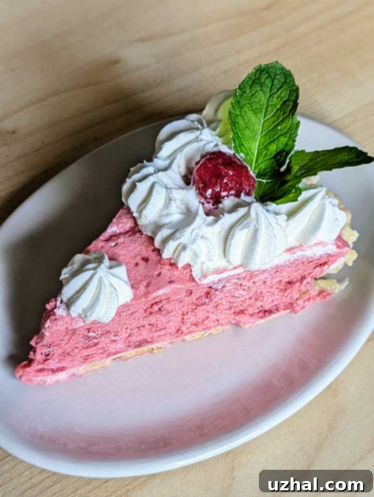 Slice of Raspberry Chiffon Pie on a Fishs Eddy Here's Your Snack plate.