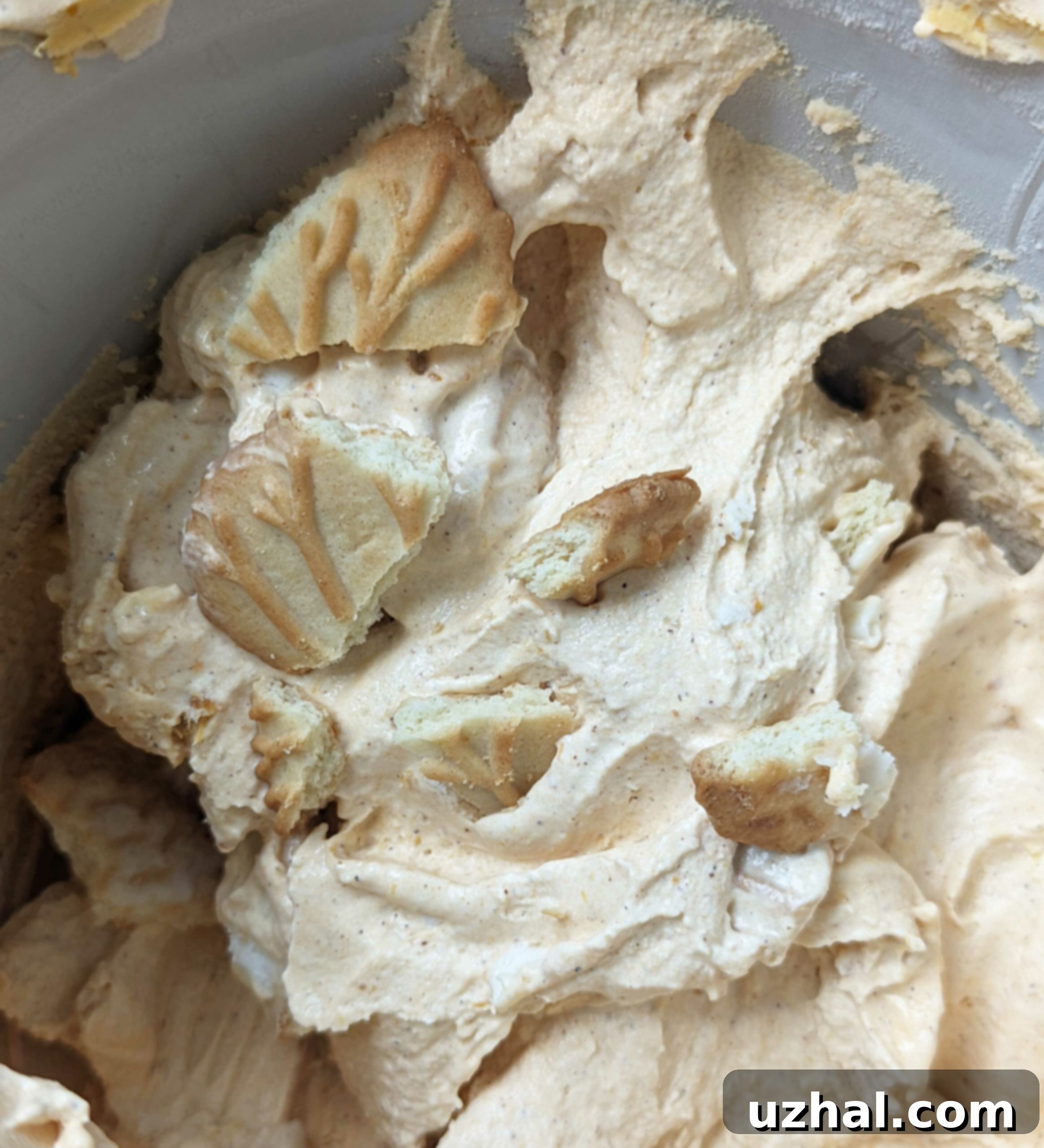 Quick pumpkin ice cream with maple cookies.