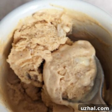 Quick Pumpkin Ice Cream