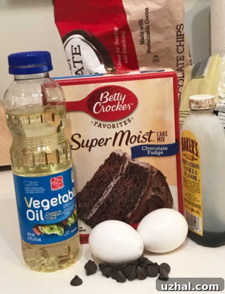Ingredients for the easiest cake mix brownies, including a box of chocolate cake mix, eggs, and oil.
