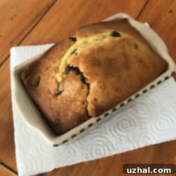 Delicious Mini Tahini Chocolate Chip Loaf Cakes