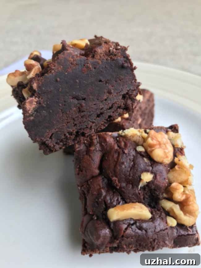 The Ultimate Fudge Brownies 2 Best Fudge Brownies Ever: A close-up of dark, chewy, and shiny brownies