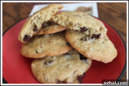 Close-up of baked White Whole Wheat Chocolate Chip Bran Cookies