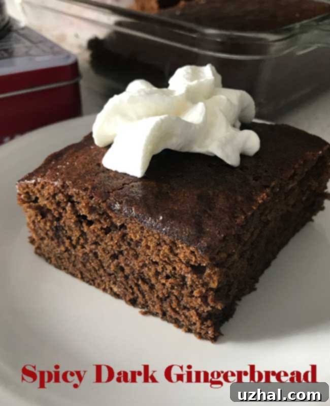 Rich and spicy dark gingerbread loaf, a perfect fall and winter dessert