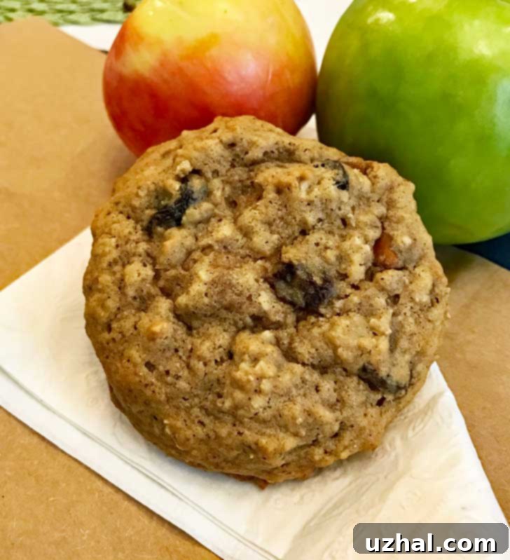Soft and chewy old-fashioned applesauce cookies with oatmeal