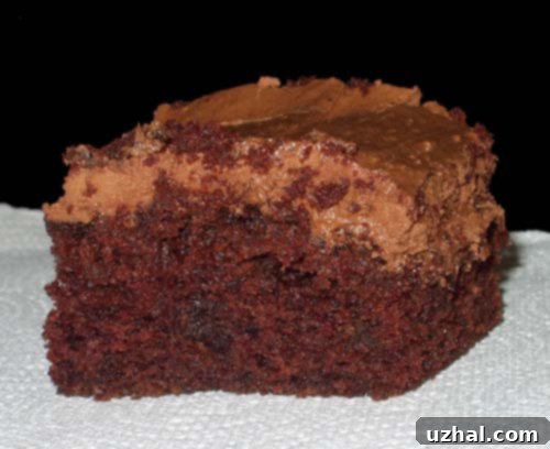 Classic Crazy Cake or Wacky Cake, a moist 8 inch chocolate cake.