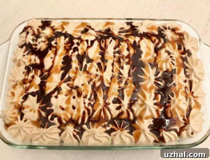 Delicious Caramel Macchiato Chocolate Cake, perfectly baked in an 8-inch pan.