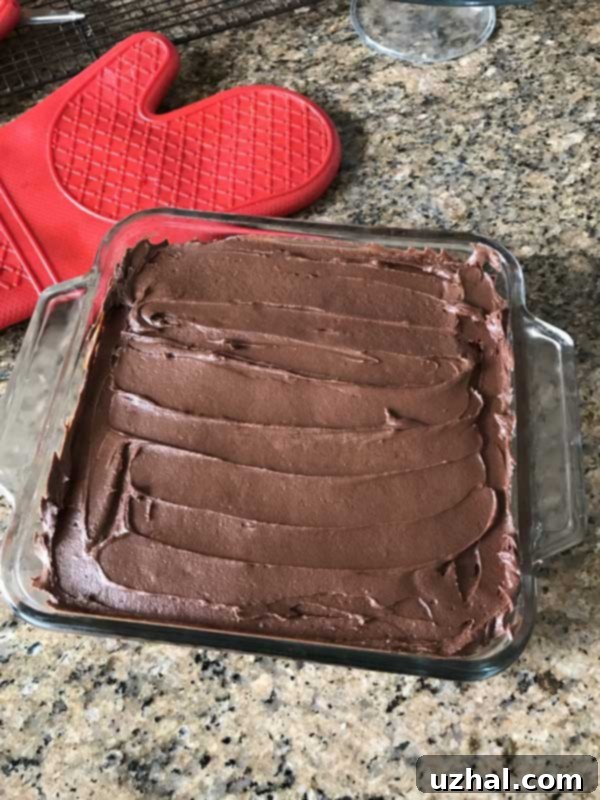 Moist and flavorful sourdough chocolate cake, an excellent use for sourdough discard, baked in an 8-inch pan.