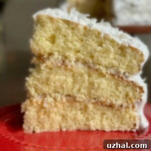 Magnolia Bakery Three Layer Coconut Cake