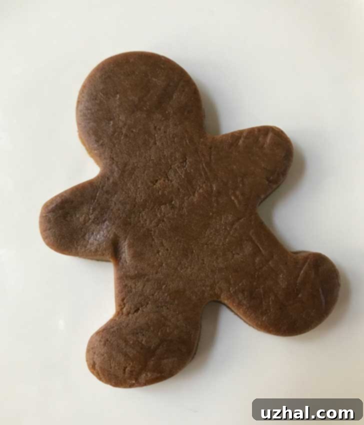 Classic not-too-sweet and slightly cakey sturdy gingerbread cookie dough