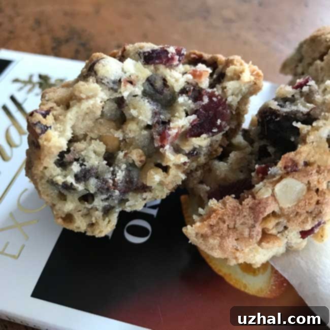 Chocolate Coma Cookies