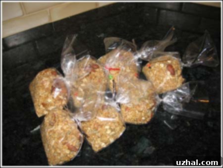 granolainsacks.jpg