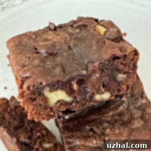 Fudgy Olive Oil Brownies, perfectly cut and ready to serve on a plate.