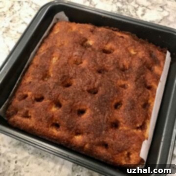 Moravian Sugar Cake