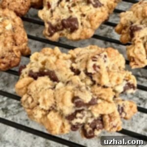 Crispy, crunchy Cheerios chocolate chip cookies recipe for a unique treat.