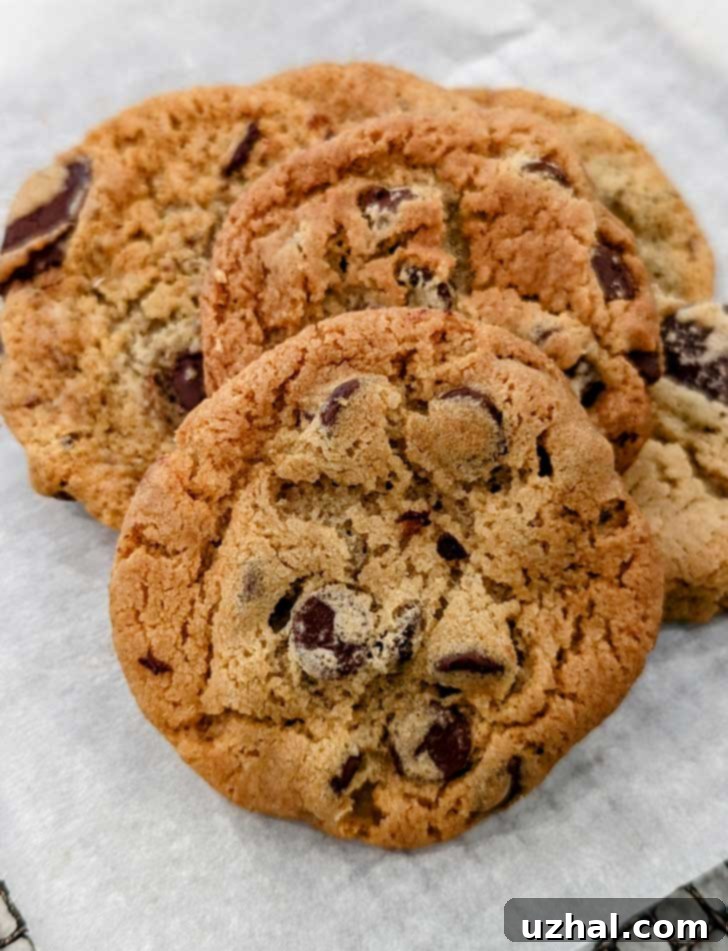 Thin and chewy egg-free chocolate chip cookies arranged on a plate