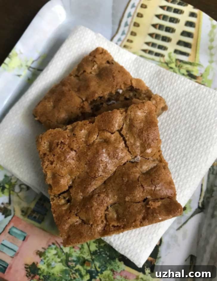 Two golden-brown Gluten-Free Charleston Chewies resting on a white plate, showcasing their inviting, chewy texture and visible pecan pieces.