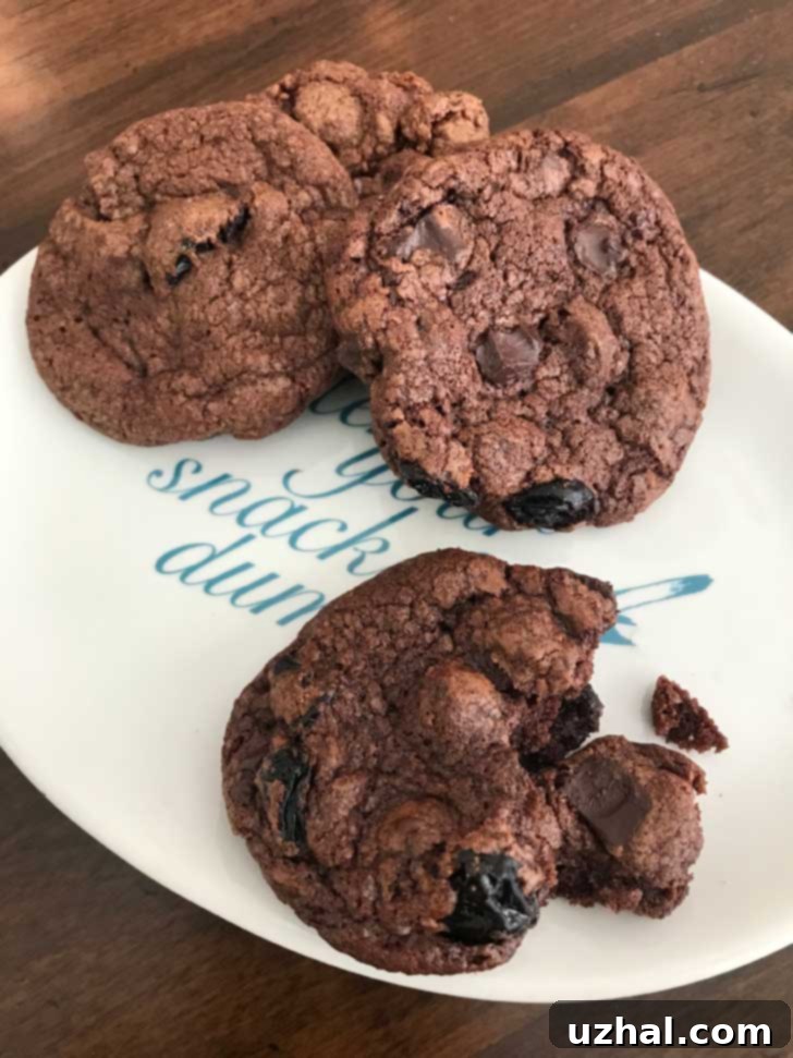 Double Chocolate Black Forest Cookies, perfectly baked with a rich, dark hue and visible cherry pieces, arranged invitingly on a white plate.