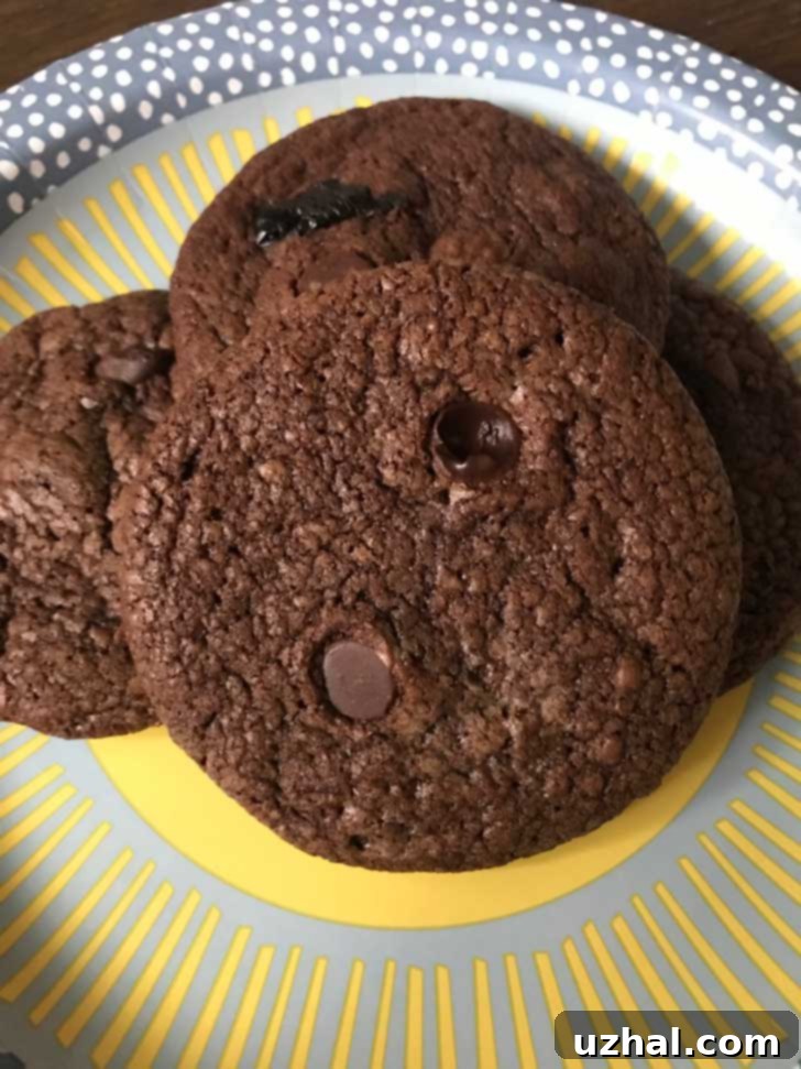 Delicious Gluten-free Black Forest Cookies made with melted chocolate, featuring a delicate crumb and visible cherry pieces, ready to be enjoyed.
