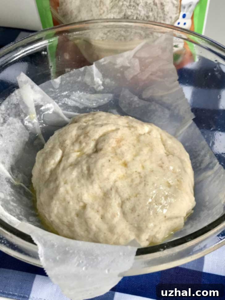 Gluten-Free Bread Dough Boule Before Rising