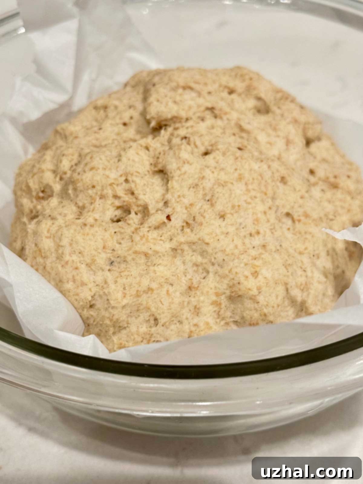 Risen Gluten-Free Dutch Oven Bread Dough Ready to Bake