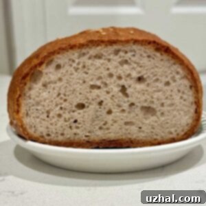 Gluten-Free Dutch Oven Bread Recipe